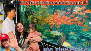 Phát hiện hàng trăm con Cá săn mồi cực Víp trong quán ốc hút - Thái Salem vê lốc