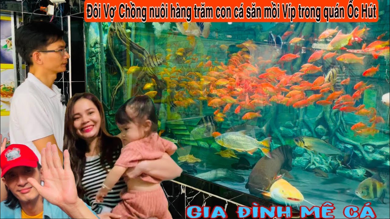 Phát hiện hàng trăm con Cá săn mồi cực Víp trong quán ốc hút - Thái Salem vê lốc