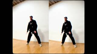 NASA - Rvdical the Kid & Amaarae - Larkin Poynton - Choreography.