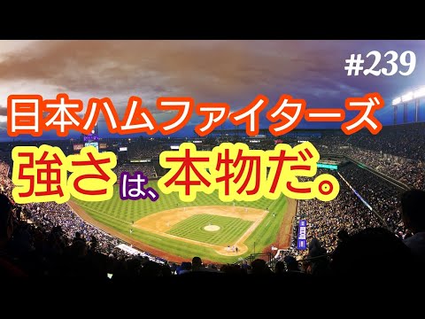 【新庄剛志】北海道日本ハムファイターズの強さは、本物だ。本当に、パ・リーグ制覇はあるかも。４７歳おっさんが語る◆239