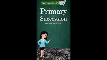 Succession | Ecological Succession | Primary Succession | Ecosystem | Science #shorts