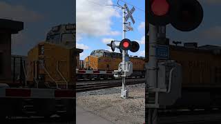 UP Train Stopping Short of Signal/Moving Forward Past the CHS Grain Terminal, Mankato Sub, Savage MN