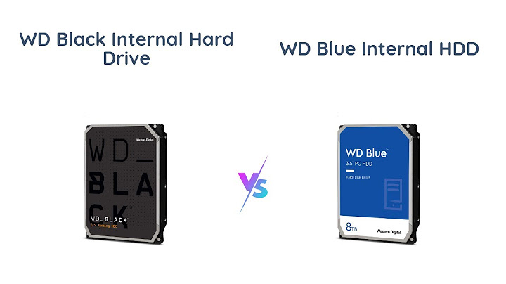 So sánh tốc độ hdd blue và black năm 2024