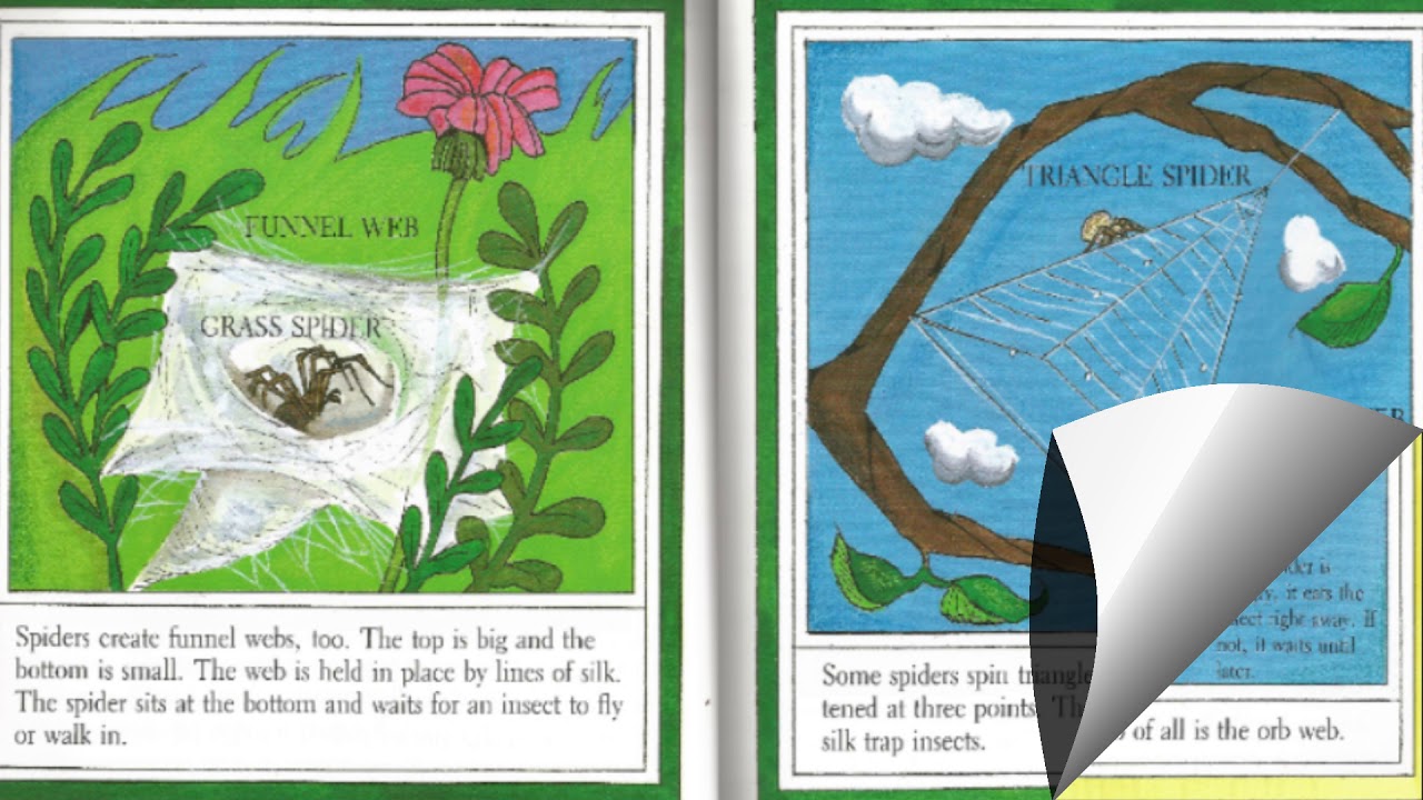 pic Spiders By Gail Gibbons Read Aloud itsstorytime ep 2 spiders by gail gibbons