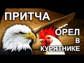 ОРЁЛ В КУРЯТНИКЕ... Жизненная ПРИТЧА