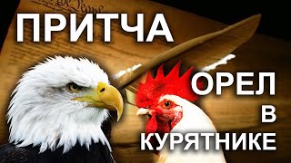 видео: ОРЁЛ В КУРЯТНИКЕ... Жизненная ПРИТЧА картинка: ОРЁЛ В КУРЯТНИКЕ... Жизненная ПРИТЧА