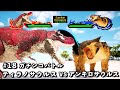 ガチンコバトル ティラノサウルス VS アンキロサウルス【King of cReature】18