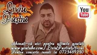 Liviu Pustiu - M-a vazut fata plangand  | Official Audio