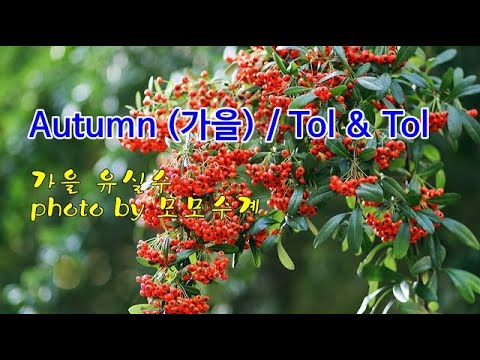 가을 <strong>유실수</strong> &amp;amp; Autumn (가을) / Tol &amp;amp; Tol &amp;amp; photo by 모모수계