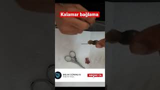 #Kalamar kıyıdan balık yakalama İçin kullanılan bir yem kalamar #Cupra #Tral #Levrek 👍🧿