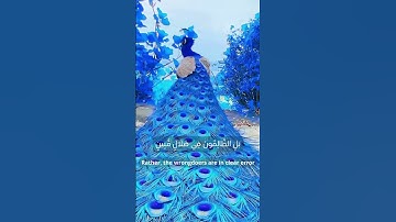 🌿 هذا خلق الله – سورة لقمان، الآية 11 🎧 بصوت #إسلام_صبحي 🤍