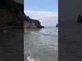 Vibes