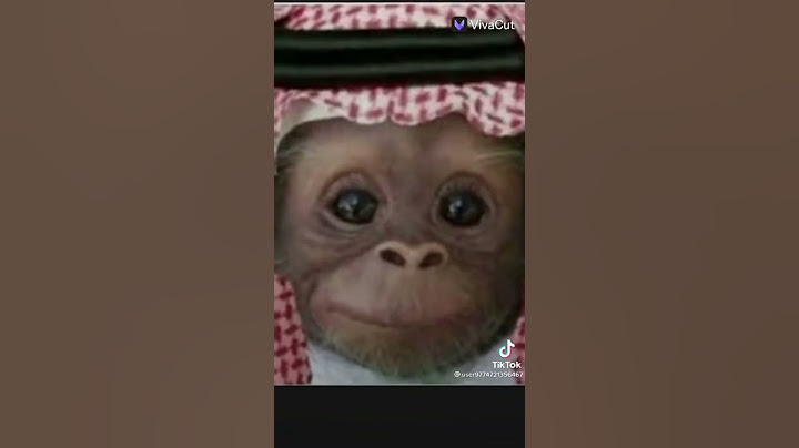 هاذا الكفو هذا النعم