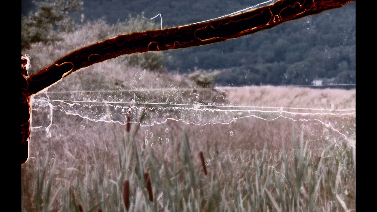 Bibio Ribbons (Album Trailer Part 5) YouTube