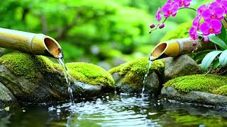 🔴 Water Sounds for Deep Focus 🌿 Spa Music for Concentration #zen
