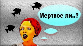 Мёртвое море - Какое оно израильское сокровище? Обзор [2020]