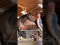 Unforgettable Funny Clips Of US Ranch Steeds#NaughtyAmericanHorses #CountrysideHorseFun