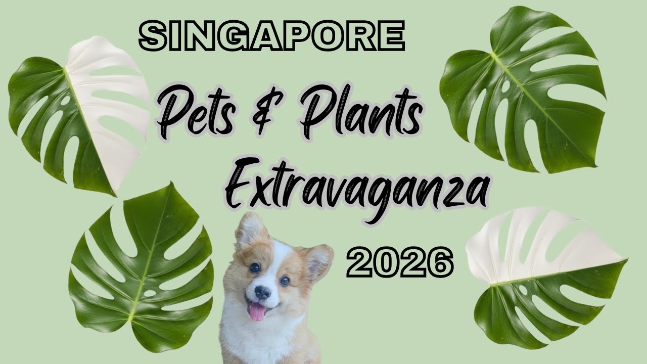🍀 Walking Tour of the Pets And Plants Show 2026 | Pets And Plants Extravaganza 2026