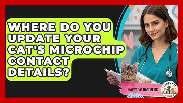 Where Do You Update Your Cat