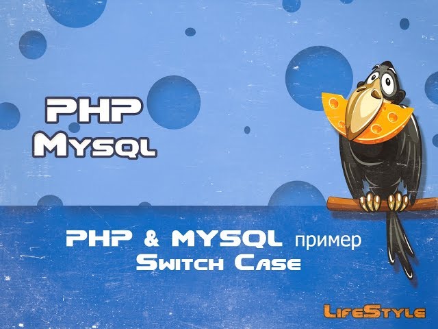 PHP & MYSQL пример работы с оператором Switch Case