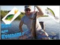 За щукой с одним воблером в коробке.  #рыбалканащуку #volgaspintv #fishing