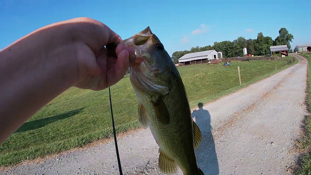 Fishing with strange lures! YouTube