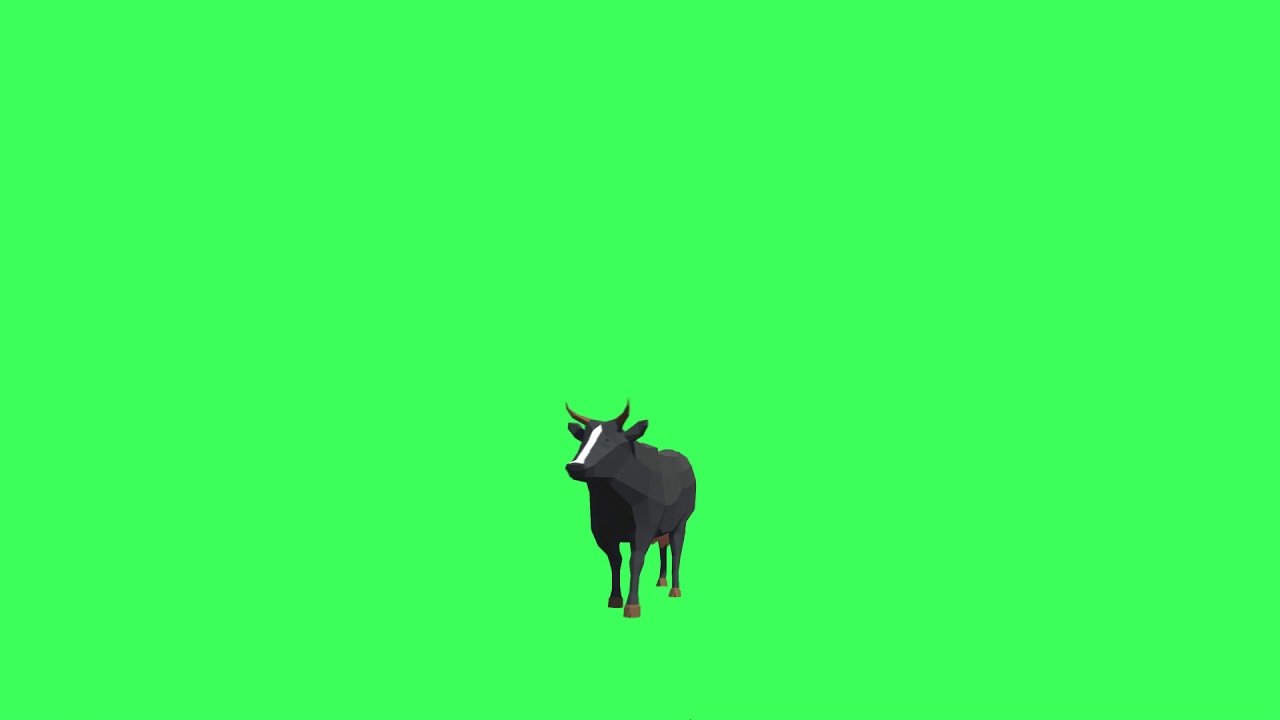 Green Screen Cow Walking
