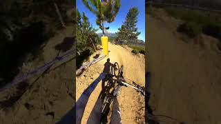 Casual Ride Avoiding Trees For Antoine Vidal