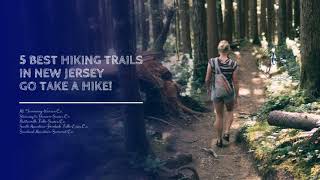 5 BEST HIKING TRAILS IN NEW JERSEY GO TAKE A HIKE!