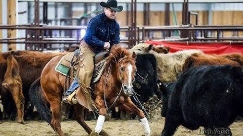 Little Smart Playgun***For info, price, etc., go to our website*** ValleyViewRanch.net