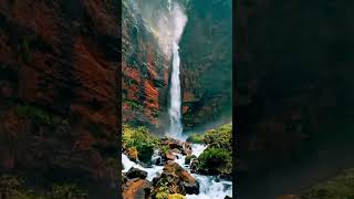 Energy Healing Video For The Healing Of Sadness. #energyhealing #reiki #reikihealing #heal #sadness