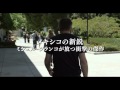 「或る終焉」予告編