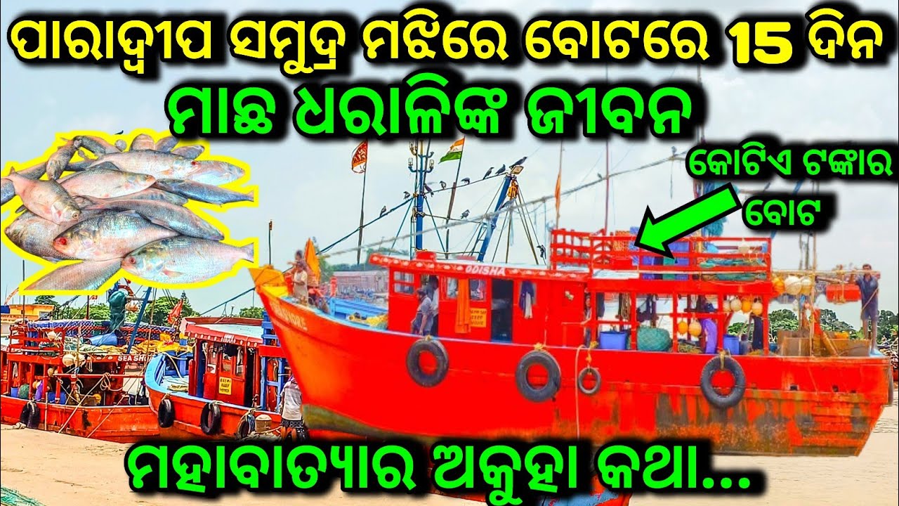 ପାରାଦ୍ବୀପ ସମୁଦ୍ର ମଝିରେ ବୋଟରେ 15 ଦିନ ମାଛ ଧରାଳିଙ୍କ ଜୀବନ 🙏 ମହାବାତ୍ୟାର ଅକୁହା କଥା // କୋଟିଏ ଟଙ୍କାର ବୋଟ // 