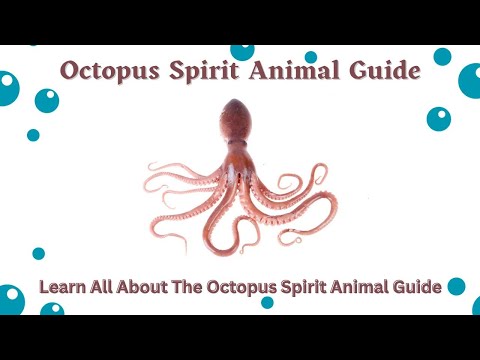 Octopus Spirit Animal