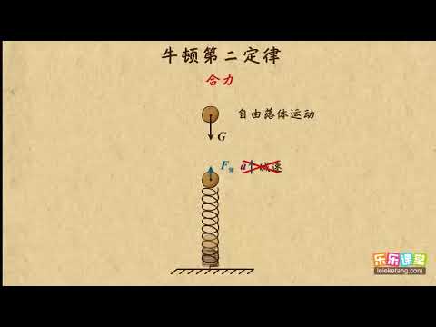 07牛顿第二定律中F代表合外力   牛顿运动定律（1）高中物理