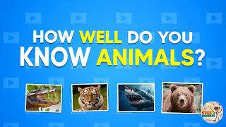 🧠 How Well Do You Know Animals? 🦁 25 Hard Animal Trivia Questions & Answers | General Knowledge Quiz