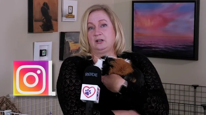 Carolyn Gardner for Broadway Veterinary Hospital
