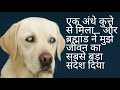 एक अंधे कुत्ते से मिला... और ब्रह्मांड ने मुझे जीवन का सबसे बड़ा संदेश दिया