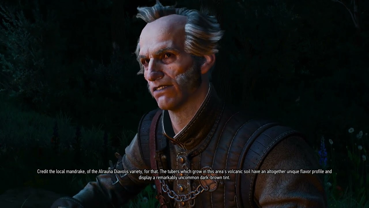 Regis is right about the Duchess Anna Henrietta- witcher 3