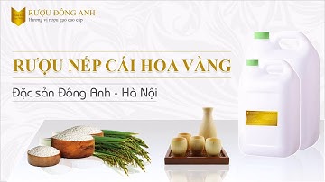 Rượu Nếp Cái Hoa Vàng