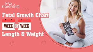 Foetal Growth Chart Week by Week - Length & Weight