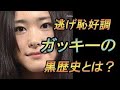 チャラン・ポ・ランタン / 『逃げるは恥だが役に立つ』オープニングテーマ「進め、たまに逃げても」MUSIC VIDEO( ver.)