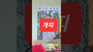 개띠 대박 오늘의운세 2024년4월12일 금요일 재회운/연애운/애정운이 좋은 띠 (개띠) #오늘의운세 #운세