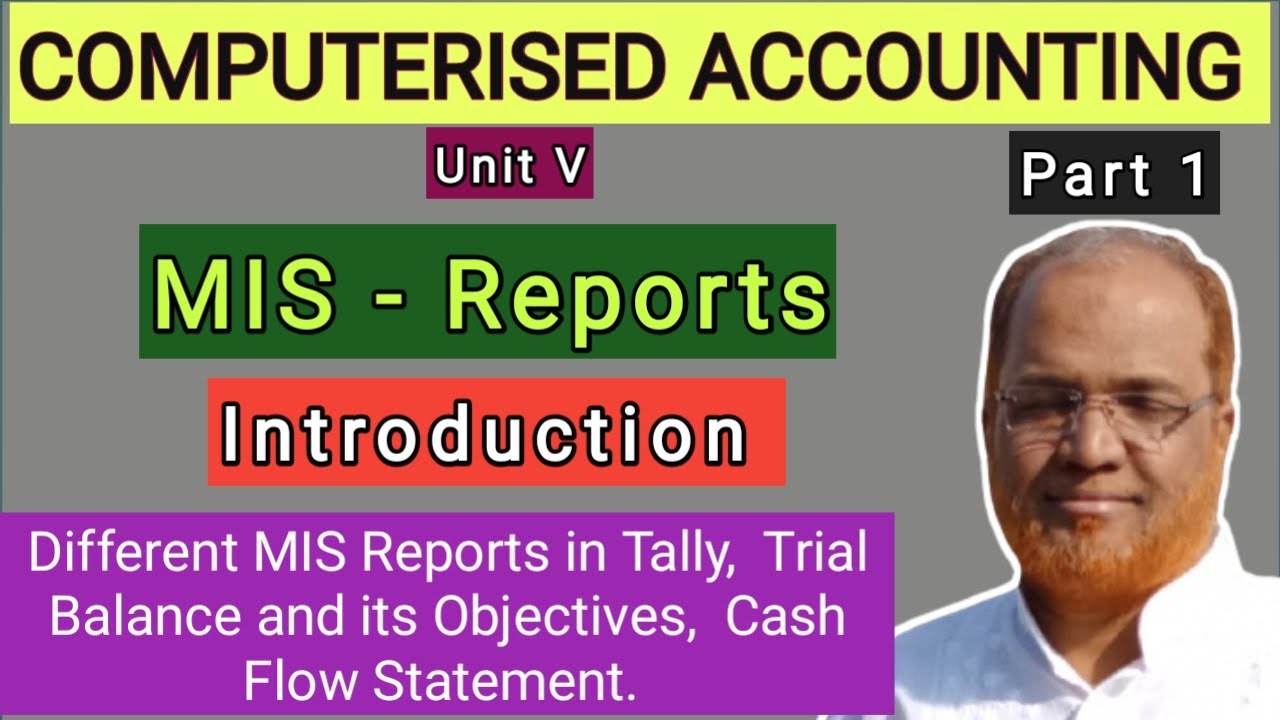 Computerised Accounting I MIS Reports I Introduction I Trial Balance ...