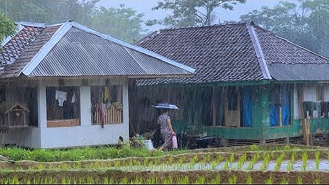 Aktivitas Saat Hujan Lebat Di Kampung Terujung Jawa Barat, Sejuk & Bikin Damai | Pedesaan Indonesia