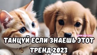 💗ТАНЦУЙ ЕСЛИ ЗНАЕШЬ ЭТОТ ТРЕНД 2023💗