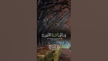 #قرآن #تلاوة #راحة_نفسية #القرآن_الكريم. تلاوة تهدئ النفس وتريح القلب  استمع لآيات السكينة والرحمة