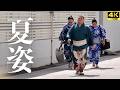 【力士 入り待ち】夏場所の夏支度、国技館へ向かう主役たち|令和8年 大相撲 夏場所【両国国技館 sumo】