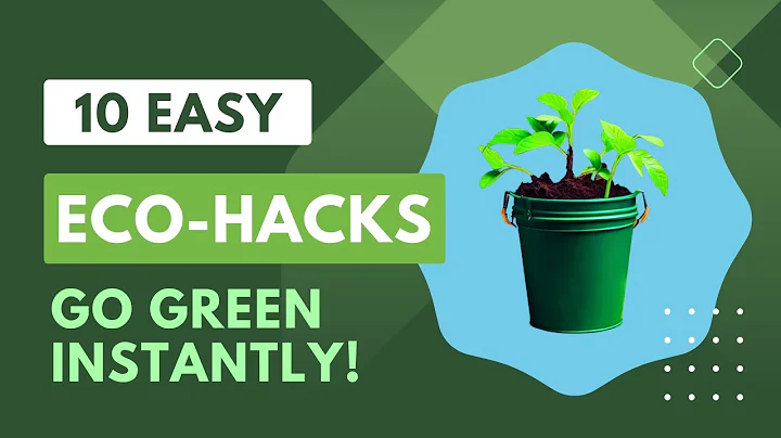 Eco-Friendly Living: Simple Changes for a Sustainable Future