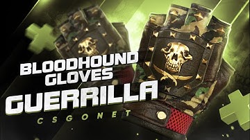 Обзор Bloodhound Gloves | Guerrilla (Перчатки «Бладхаунд» | Диверсант) | CS:GO